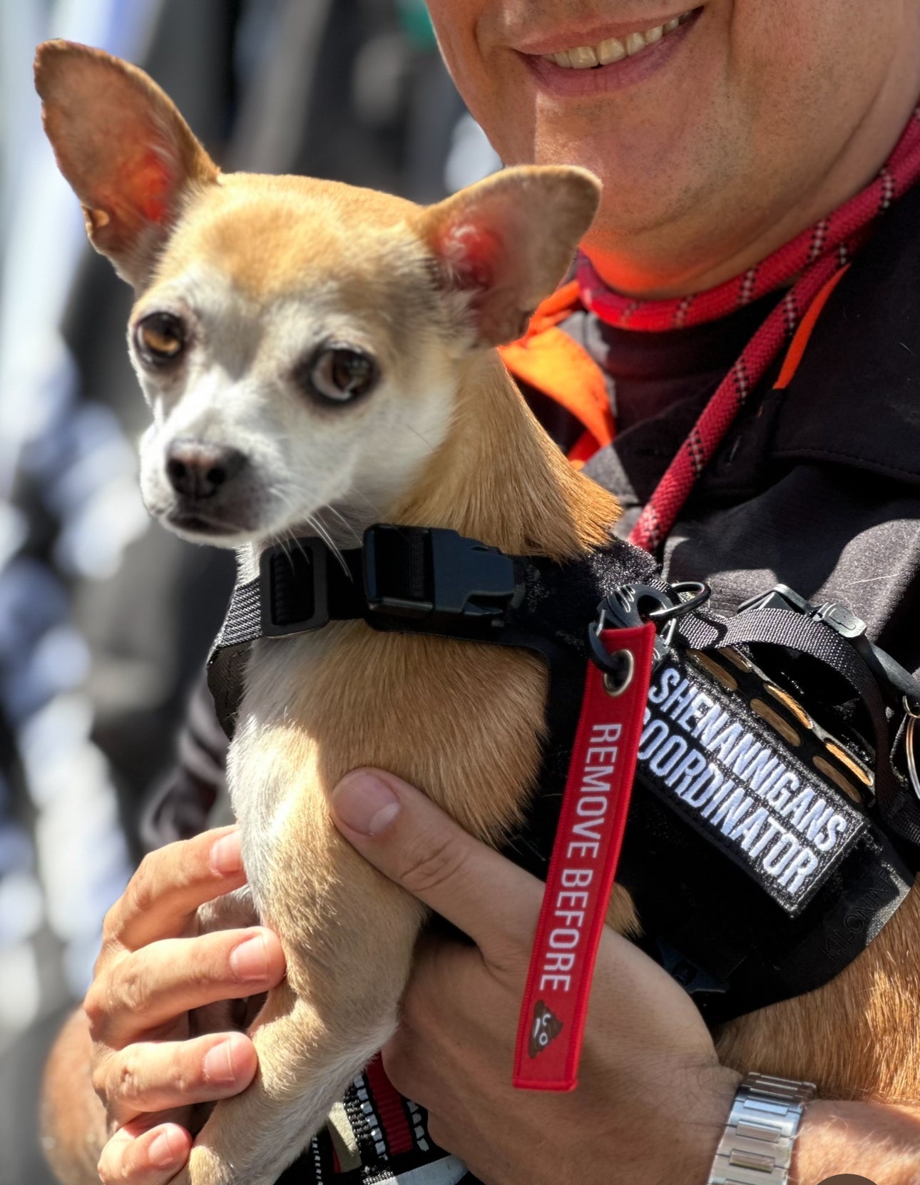 Shenannigans Coordinator  Morale Patch