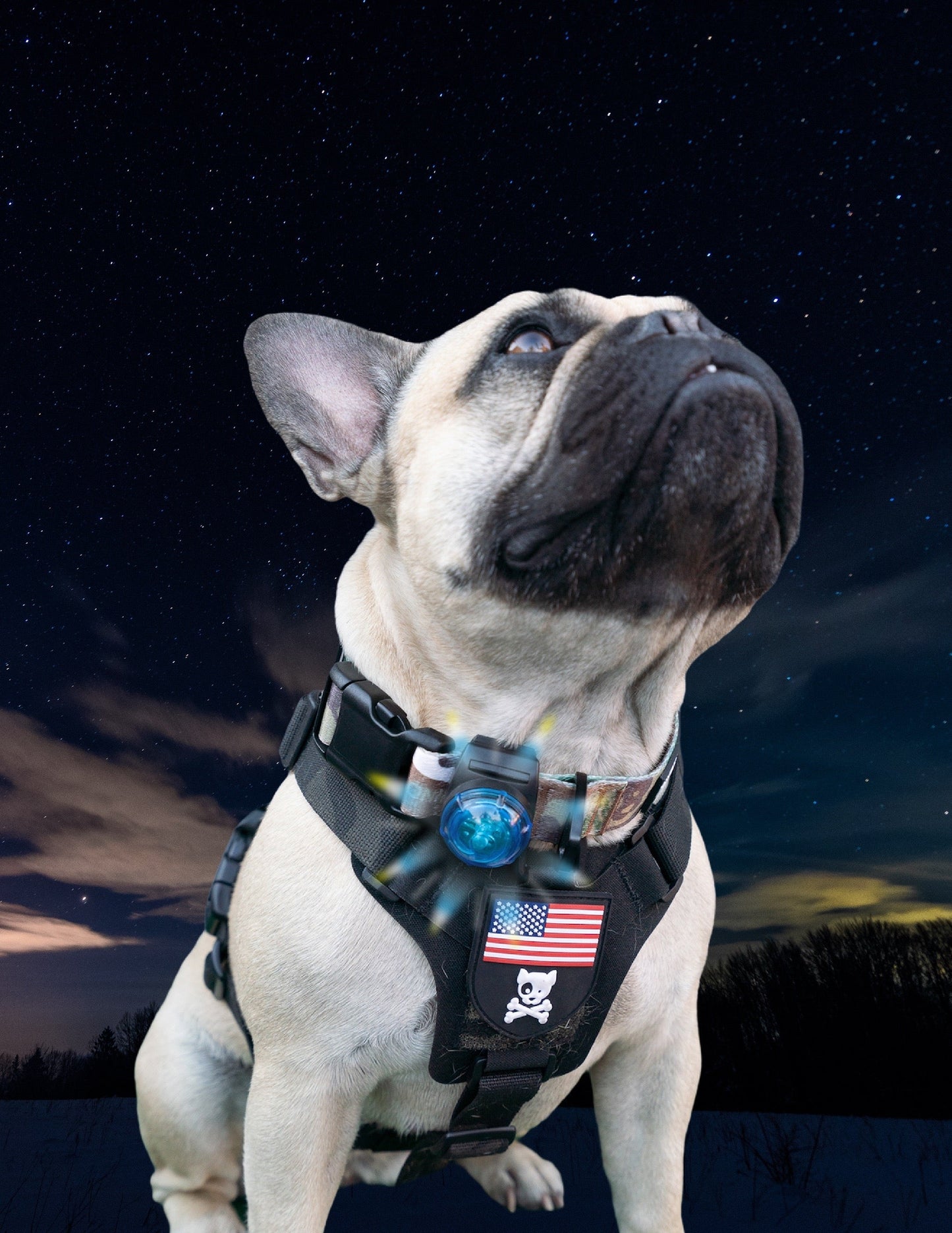 SF1 Clip-on Safety Light